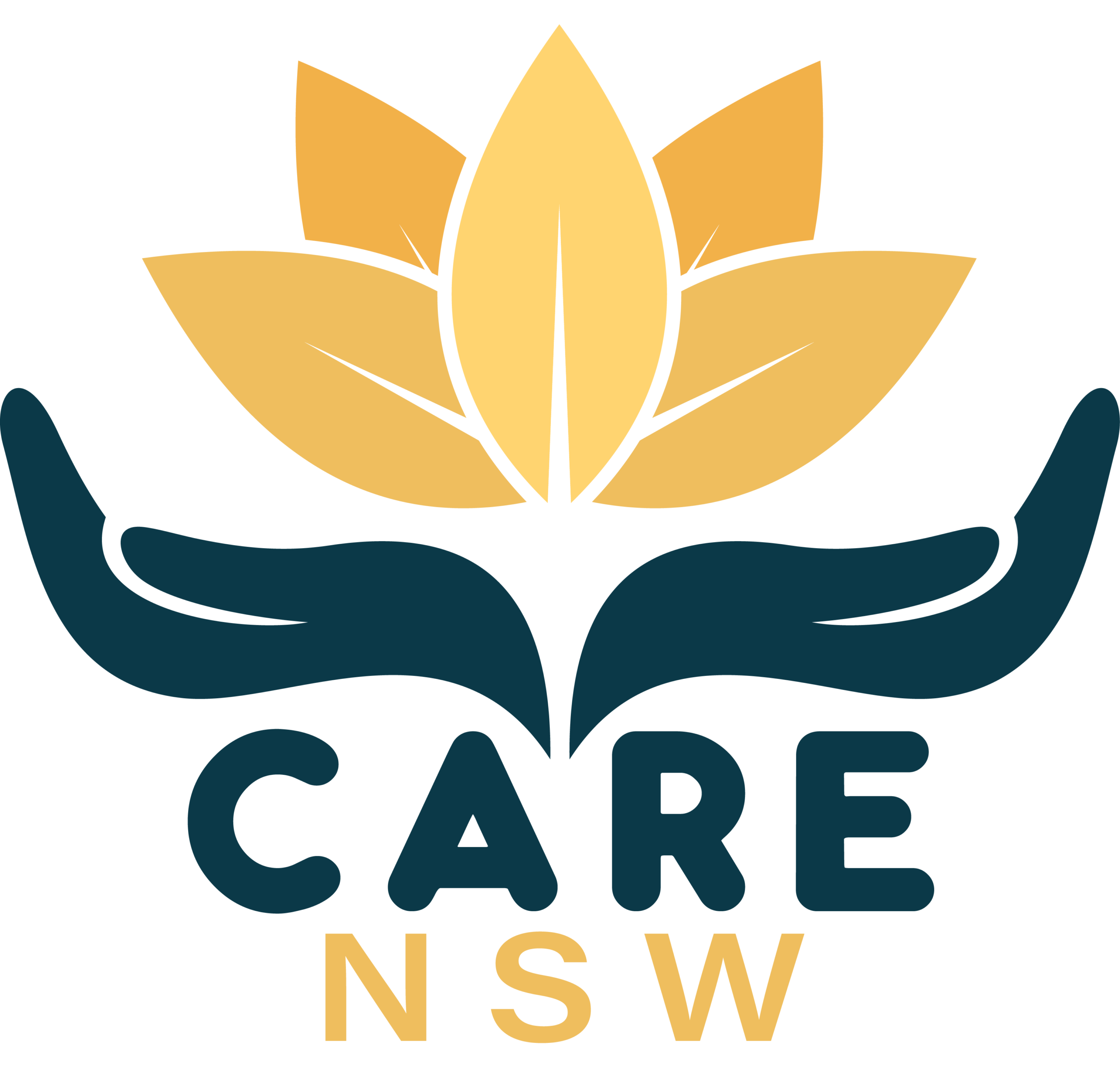 CareNSW_Logo_TRN